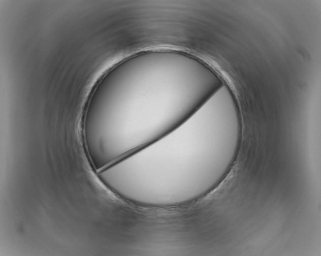 X0000110681189200906121028