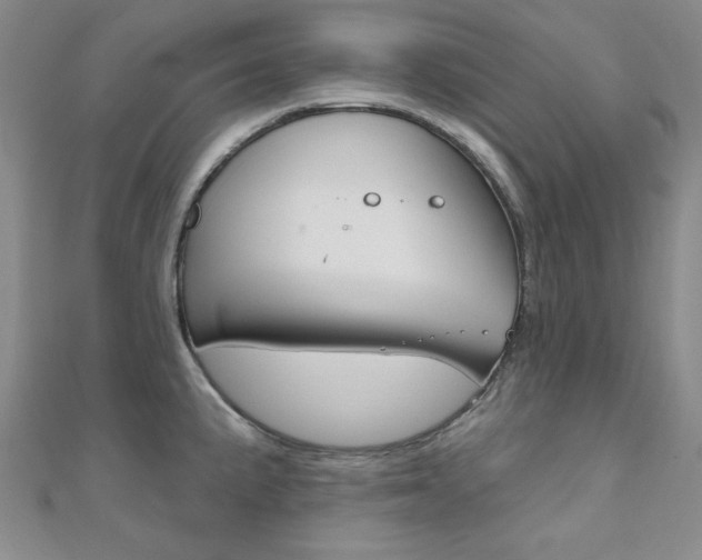 X0000110681191200906121028