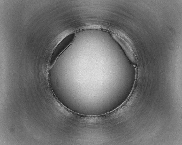 X0000110681193200906121028