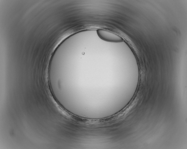 X0000110681194200906121028