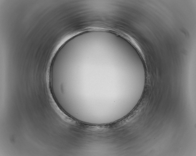 X0000110681195200906121028