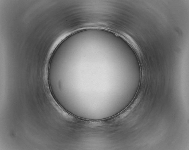 X0000110681196200906121028