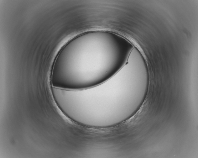 X0000110681197200906121028