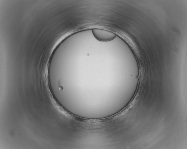 X0000110681198200906121028