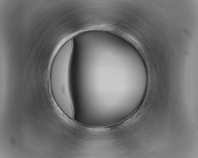 X0000110681200200906121028