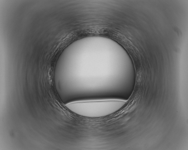 X0000110681202200906121028