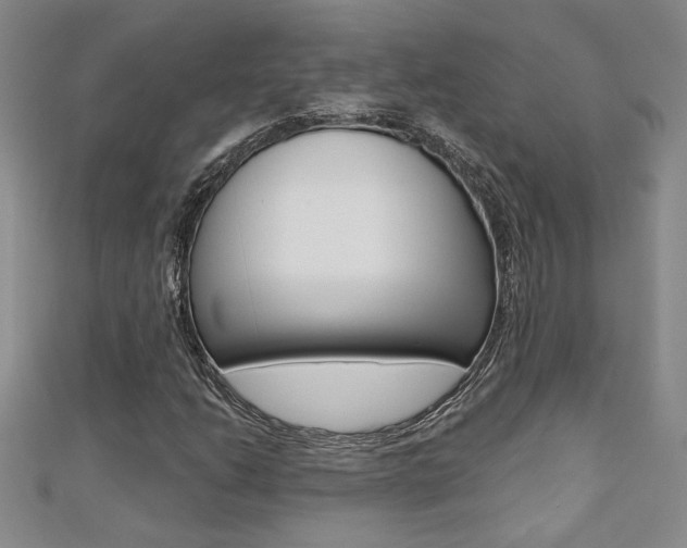 X0000110681206200906121028