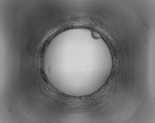 X0000110681207200906121028
