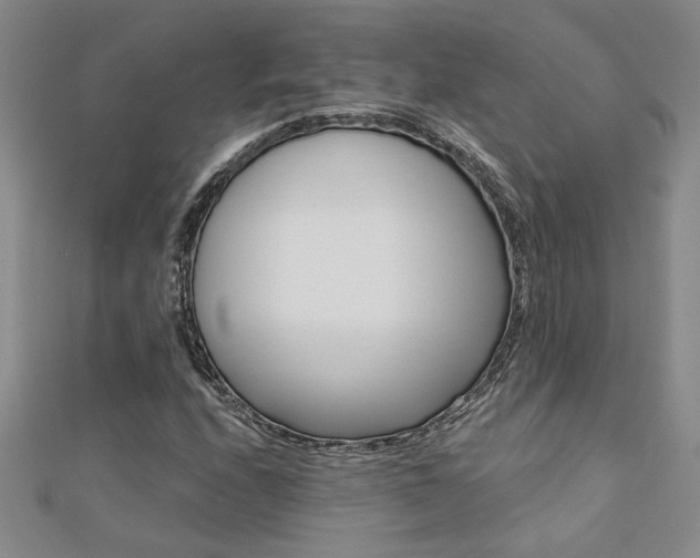 X0000110681208200906121028