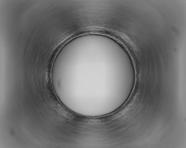 X0000110681209200906121028