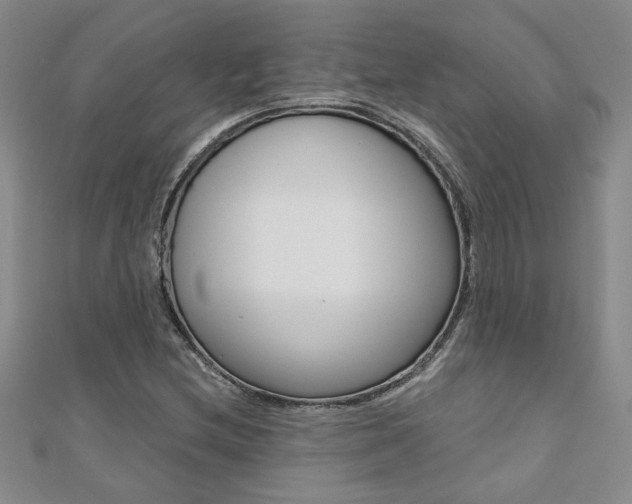 X0000110681212200906121028