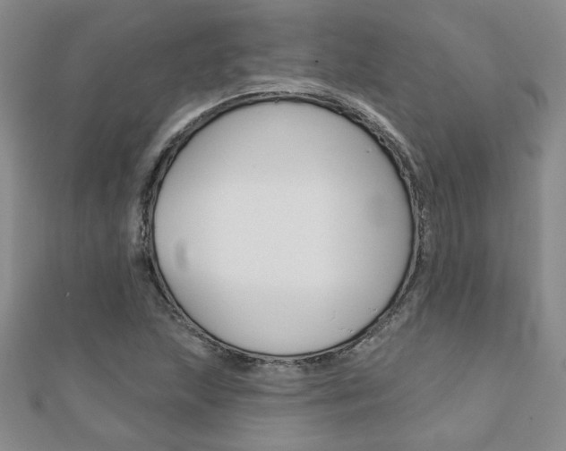 X0000110681215200906121028