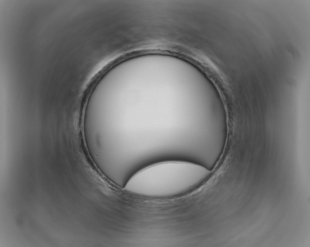 X0000110681216200906121028
