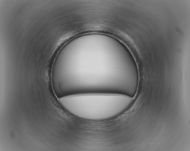 X0000110681218200906121028
