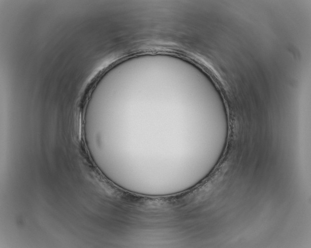 X0000110681219200906121028