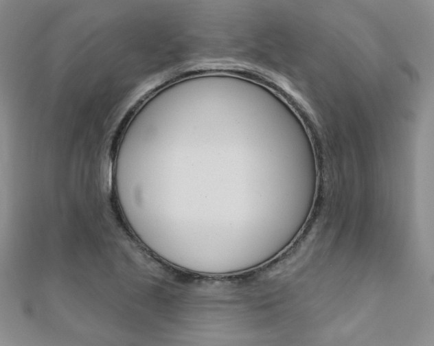 X0000110681221200906121028