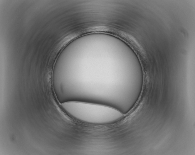 X0000110681225200906121028