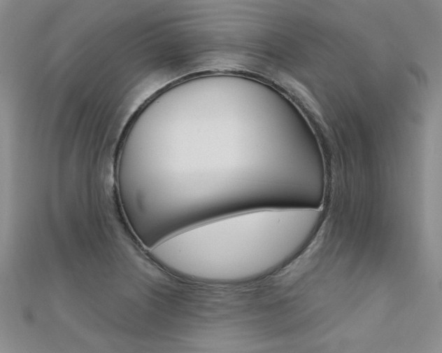 X0000110681226200906121028