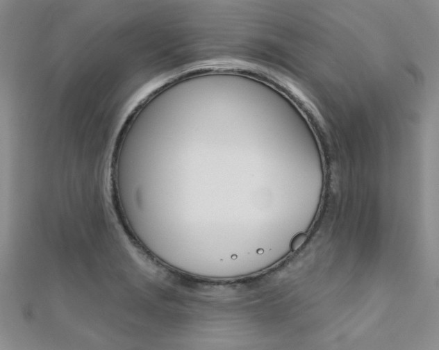 X0000110681229200906121028