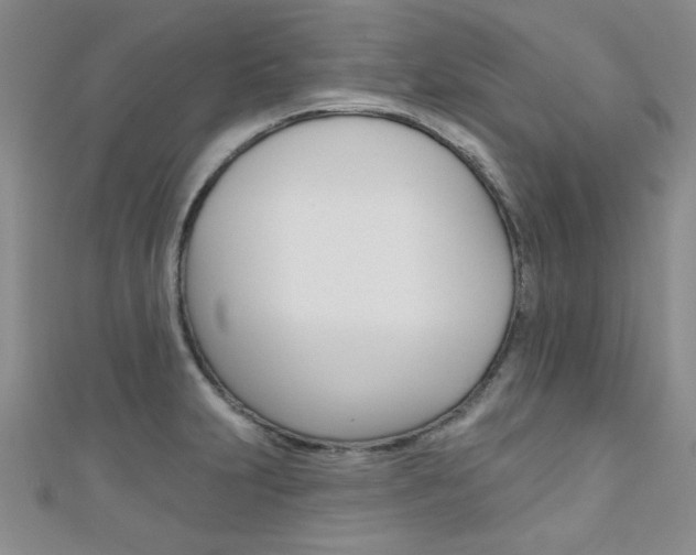 X0000110681231200906121028