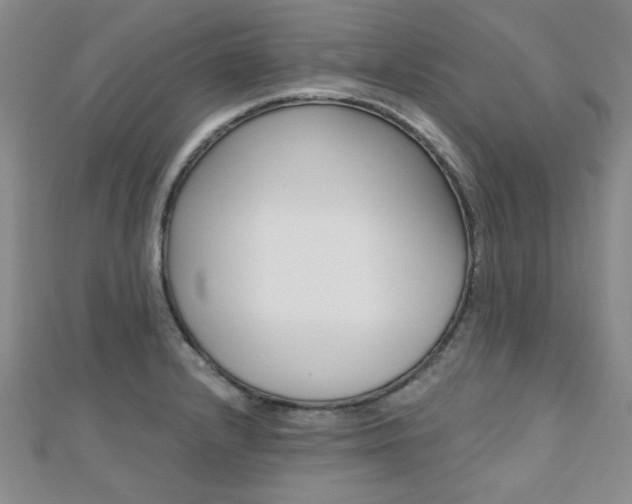 X0000110681232200906121028