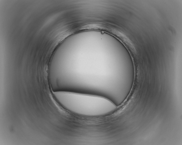 X0000110681233200906121028