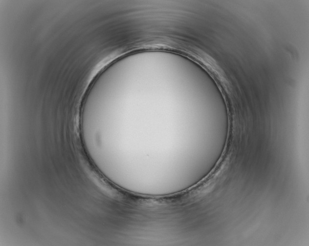 X0000110681234200906121028