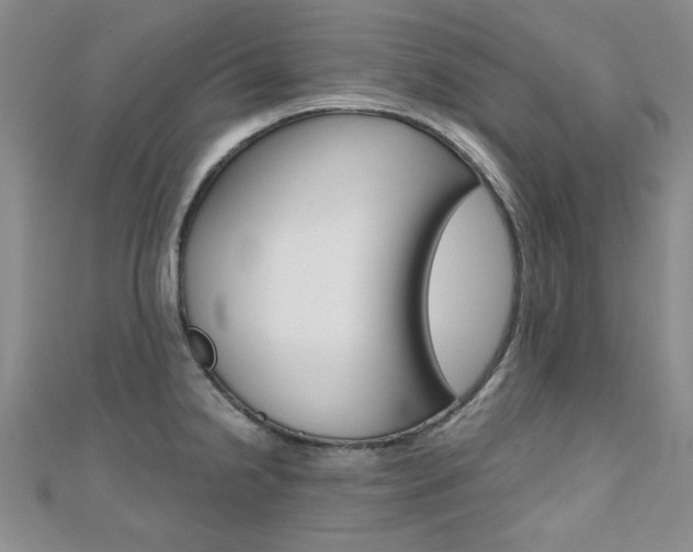 X0000110681238200906121028