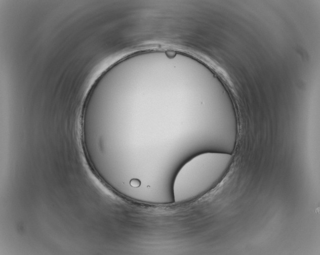 X0000110681239200906121028