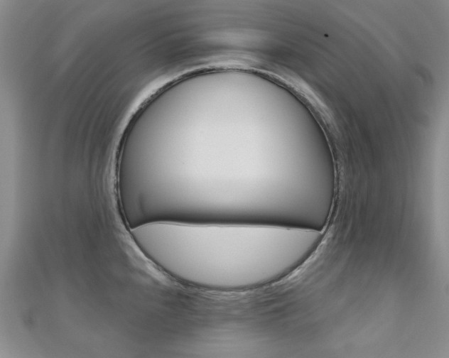 X0000110681240200906121028
