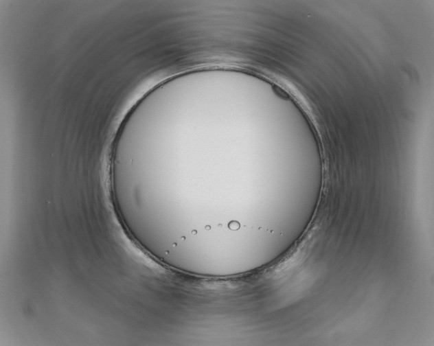 X0000110681243200906121028