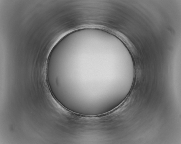 X0000110681244200906121028