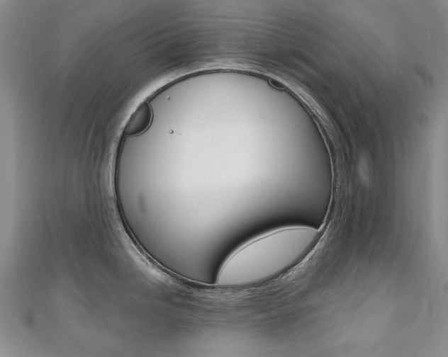 X0000110681246200906121028