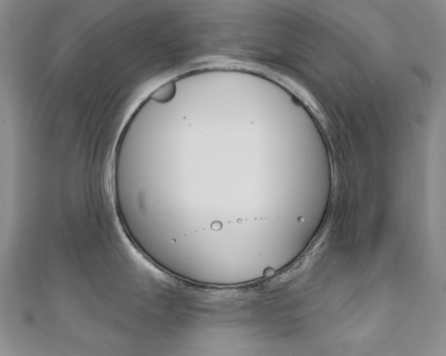 X0000110681247200906121028