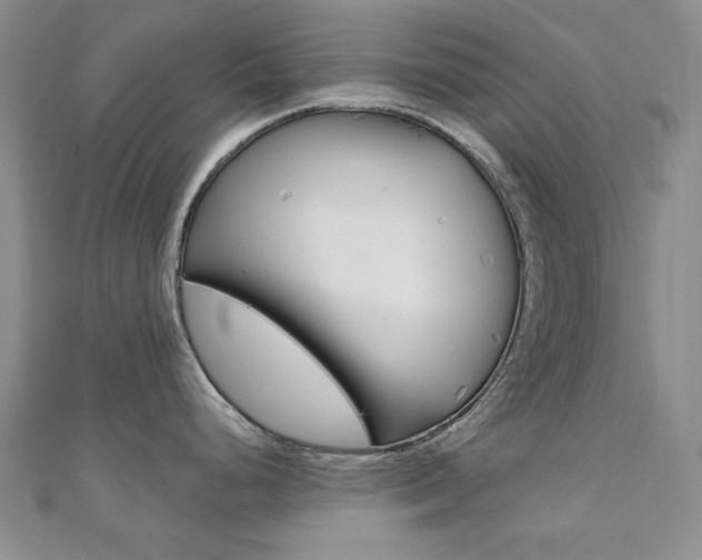 X0000110681248200906121028