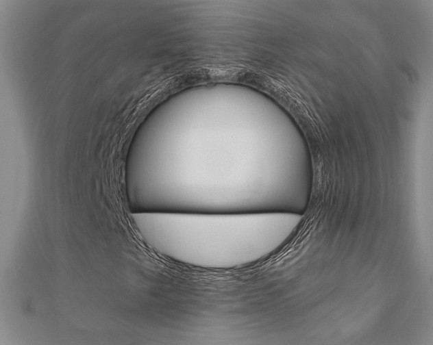 X0000110681249200906121028