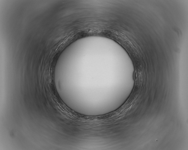 X0000110681250200906121028