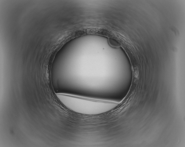 X0000110681252200906121028