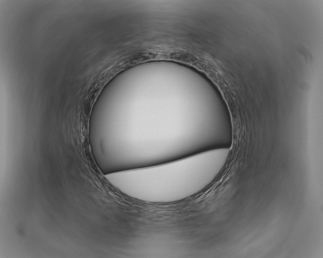 X0000110681253200906121028