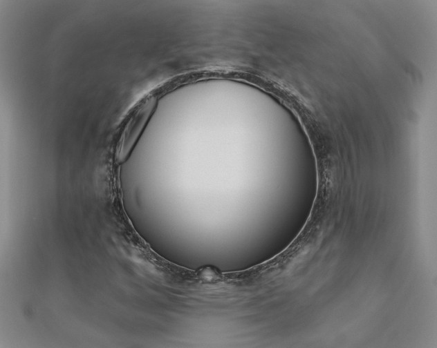 X0000110681256200906121028