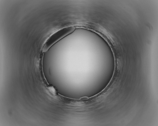 X0000110681260200906121027
