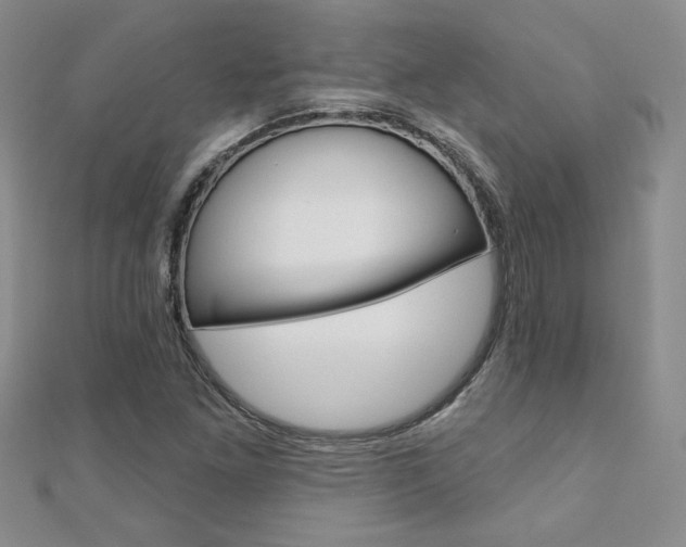 X0000110681261200906121027