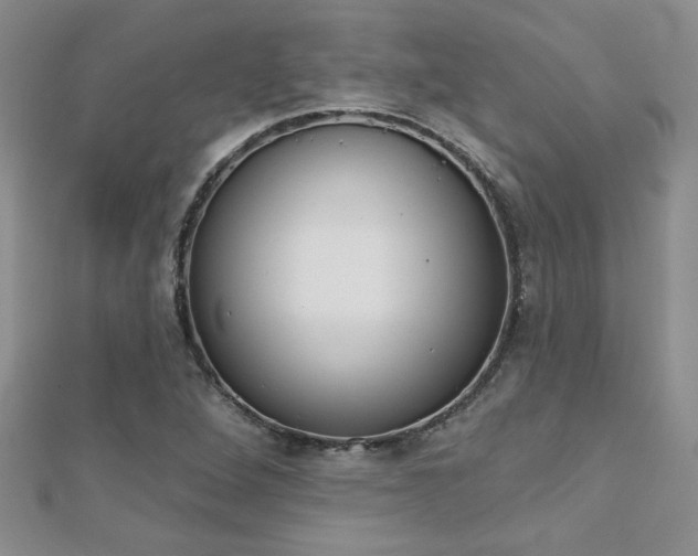 X0000110681264200906121027