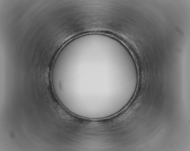 X0000110681265200906121027