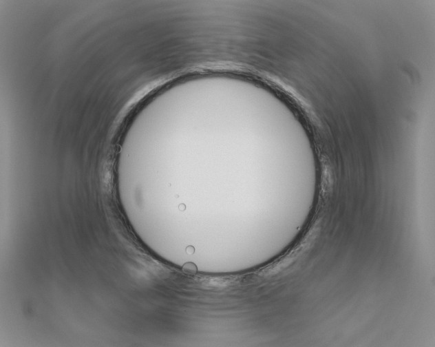 X0000110681266200906121027