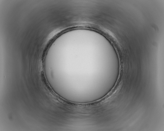 X0000110681267200906121027