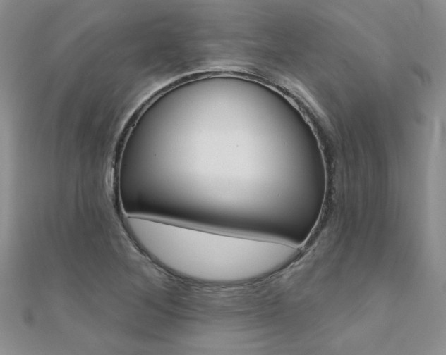 X0000110681268200906121027