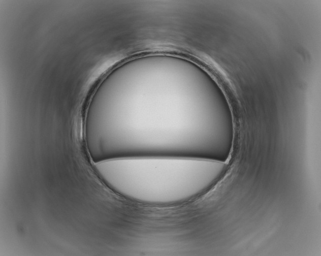 X0000110681269200906121027