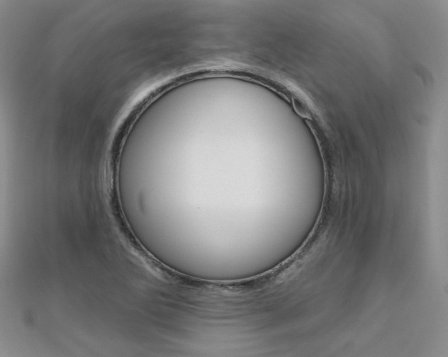 X0000110681270200906121027