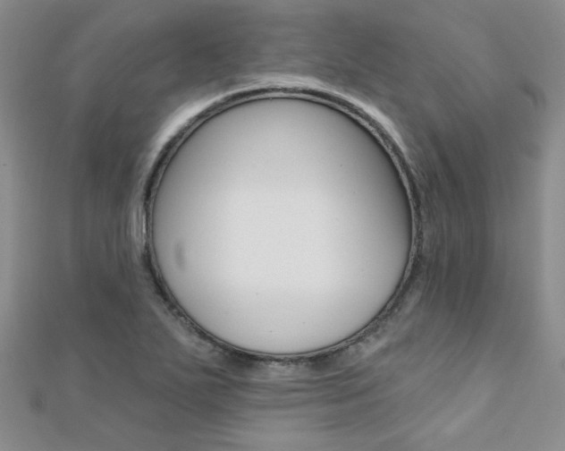 X0000110681271200906121027